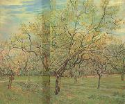 Vincent Van Gogh The White Orchard (nn04) china oil painting reproduction